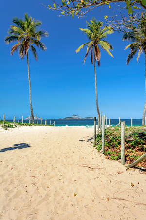 Leblon beach in the morning with the sea and the islands Cagarras among coconut trees