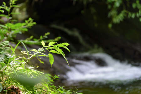 Small river and waterfall between the Itatiaia National Park rocks in Penedo, Rio de Janeiro