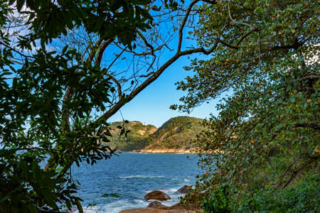 The sea seen through the rainforest vegetation of Rio de Janeiroの写真素材