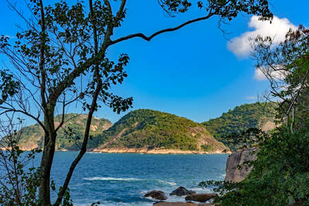 The sea seen through the rainforest vegetation of Rio de Janeiroの写真素材