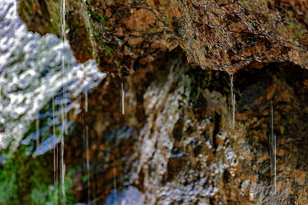 Rainwater dripping on the rocks of Rio de Janeiro rainforestの写真素材
