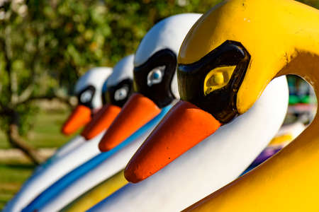 Colorful swan-shaped pedal boat lined up on the park grass with trees in the background