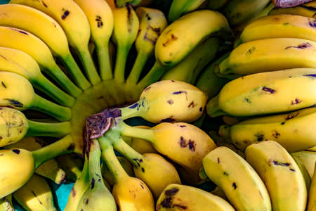 Detail of exposed banana curls for sale