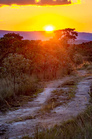 Small dirt road through the hills and native vegetation of Carrancas forest in Minas Gerais, Brazilの写真素材
