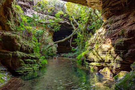 River among rocks, moss, cave and vegetation in the rainforest of Carrancas, Minas Gerais, Brazilの写真素材