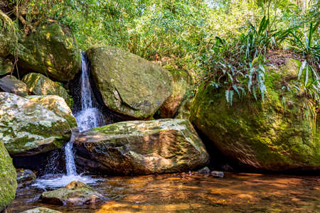 Small waterfall among the rainforest vegetation of Ilhabela island with mossy stones on the north...