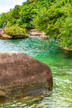 The rainforest invading the sea with calm waters and vibrant colors among the rocks of Trindade, Paraty in Rio de Janeiroの写真素材