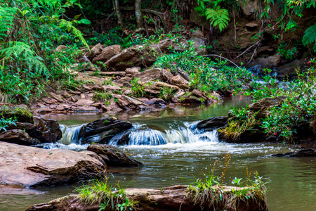 River of calm waters crossing the rainforest vegetation in Minas Gerias, Brazilの写真素材