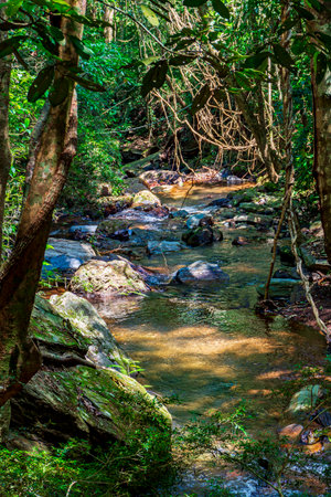 River crossing the rainforest surrounded by rocks and trees in the state of Minas Gerais, Brazilの写真素材