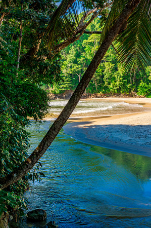 Paradisiacal beach with the meeting between the river and the sea in Itacare on the south coast of the state of Bahiaの写真素材