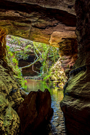 River crossing the cave and rainforest in Carrancas, Minas Gerais, Brazilの写真素材