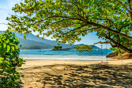 Swing hanging from a tree on the remote and deserted Bonete beach on the island of Ilhabela on the north coast of Sao Pauloの写真素材