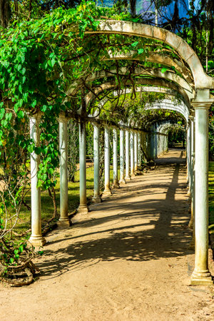 Arbor in the garden partially covered by plants on a sunny afternoonの写真素材
