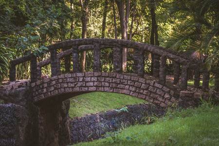 old bridge in the forestの写真素材