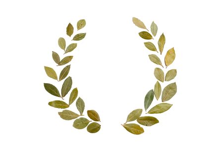 different laurel leaves arranged as a wreathの写真素材