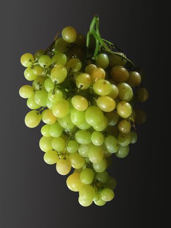 Green grapes with clipping pathの写真素材