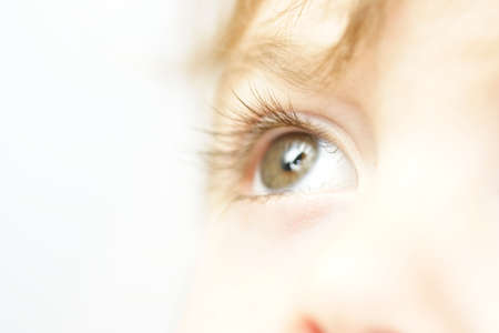 Eye of a young toddlerの写真素材