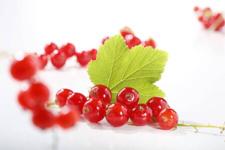 red currant on white background