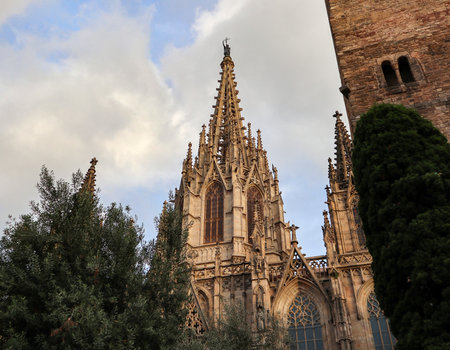 Inside and outside details of the Barcelona Cathedralの写真素材