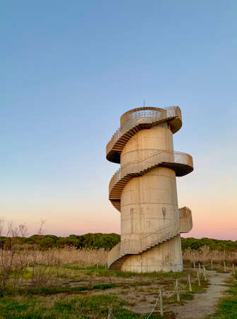 Lookout tower in the middle of a natural parkの写真素材