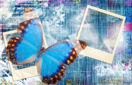  background with frame and  butterflyの写真素材