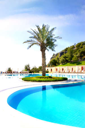 tropical holidaysのeditorial素材