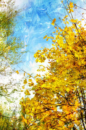 golden autumn - artwork in painting style の写真素材