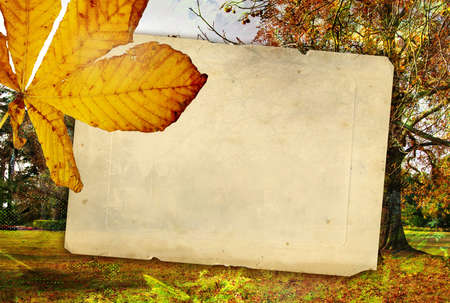 autumn background の写真素材