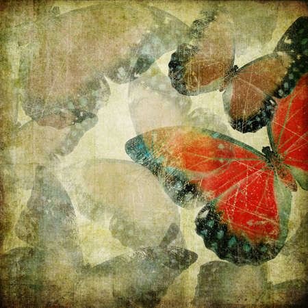 vintage background with butterfliesの写真素材