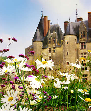 Langeais castle - Loire valleyの写真素材