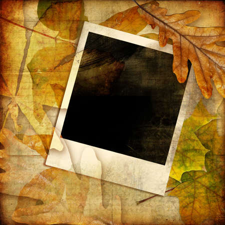 autumn photoalbum with instant frameの写真素材