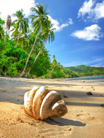 tropical beach sceneの写真素材