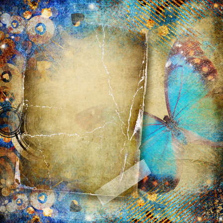 abstract retro background with butterfly  and frameの写真素材