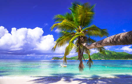 tropical beach scenery