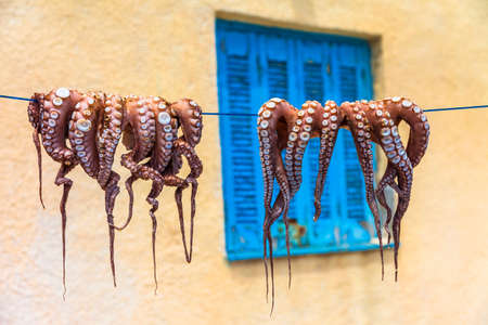 traditional food of Greece. drying octopusの写真素材