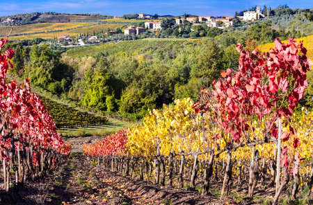 pictorial countryside in Chianti with autumn wineyards. Italyの写真素材