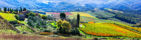 Multicolored vineyards of Tuscany, panoramic view, Italy.の写真素材