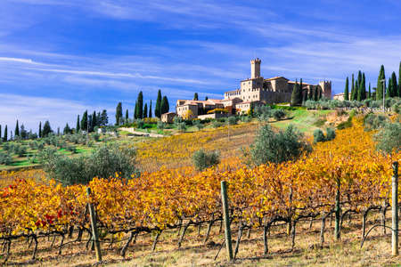 Beautiful Banfi castle, view with vineyards, Tuscany, Italy.のeditorial素材