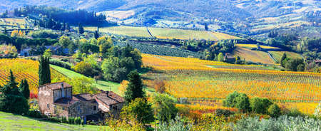 Impressive autumn landscape, Tuscany, Italyの写真素材