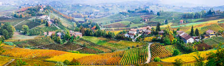 Impressive multicolored vineyards in Piedmont region, Italy