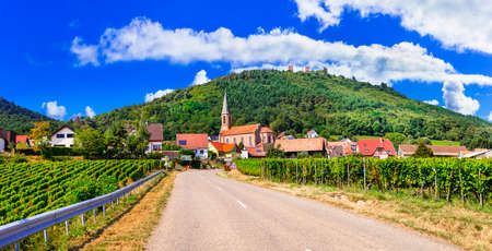 Traditional village and vineyards in Alsace region, Franceの写真素材