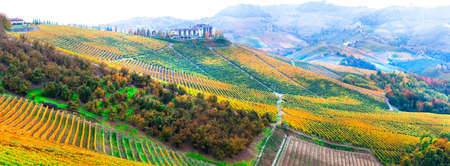 Colorful vineyards in Piedmont region, North Italy.