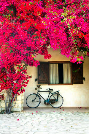 Old bike and flowers in Cyprus island.の写真素材