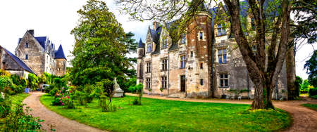 Beautiful romantic castles of Loire valley - chateau de Montresor . Famous castles and landmarks of Franceのeditorial素材