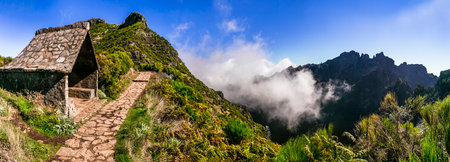 Madeira island nature sea scenery. Ponta do Pargo, splendid view with seagull
