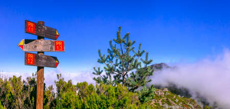 Madeira island nature sea scenery. Ponta do Pargo, splendid view with seagullの写真素材
