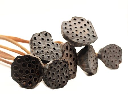 Select focus lotus seeds isolated on white backgroundの写真素材