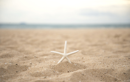 Closeup starfish on the beach and twilight sunsetの写真素材
