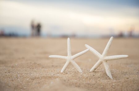 Closeup starfish on the beach and twilight sunsetの写真素材