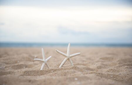 Closeup starfish on the beach and twilight sunsetの写真素材